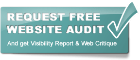 Free Audit