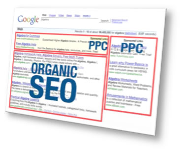 SEO SERVICES